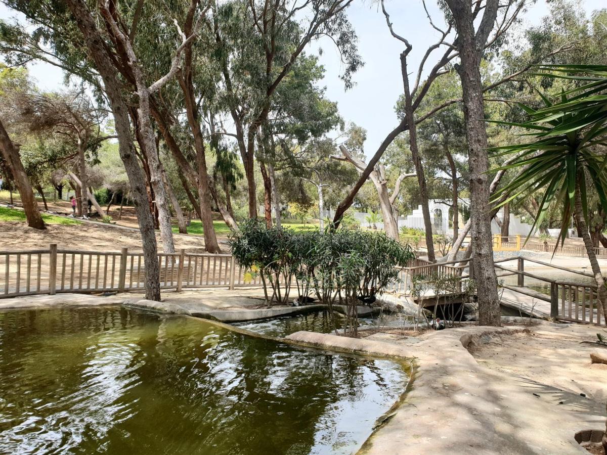 Apartamento Parque Sur Guardamar del Segura Dış mekan fotoğraf